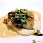 Michy's - Cobia